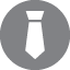 IP Surveillance cameras professional services